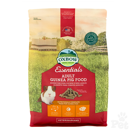 Essentials Adult Guinea Pig