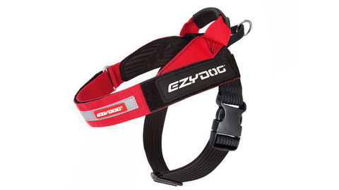 Ezy Dog - Express Harness