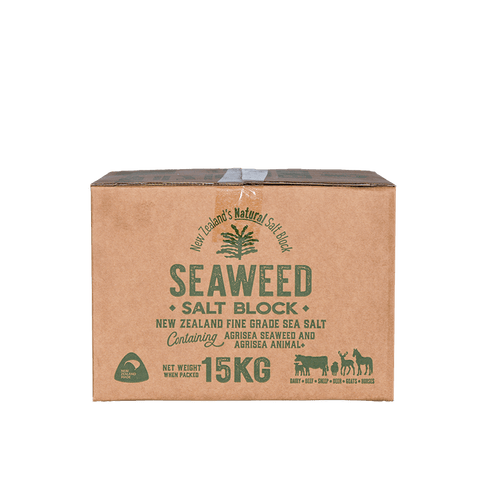Dominion Seaweed Salt Block
