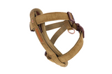 Ezydog - Chest plate Harness w/ Belt Attachment