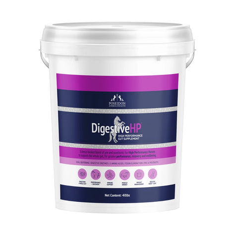 DIGESTIVE HP