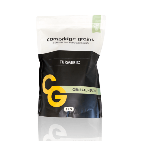 Turmeric 1 kg Cambridge Grains