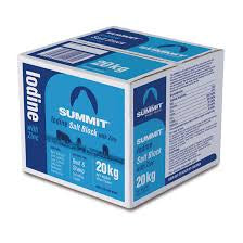 Summit Iodine Salt Block 20Kg