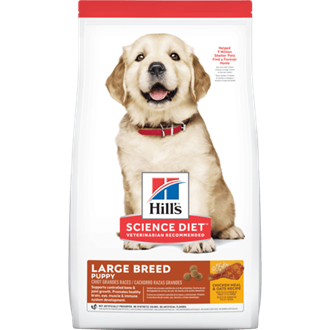 Hill's Science Diet Puppy Large Breed 12kg